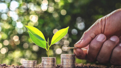 A lei da compensação, desperte o genio dentro de voce