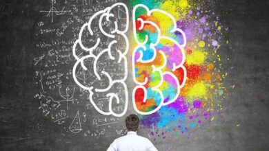 As Múltiplas Inteligências do Ser Humano, desperte o genio dentro de voce