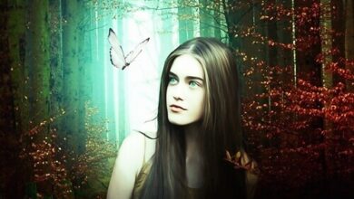 Reflexões sobre a Aleatoriedade na Vida, desperte o genio dentro de voce