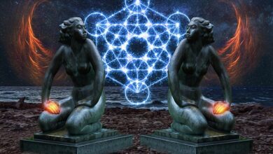 lei da atração dos opostos, desperte o genio dentro de voce