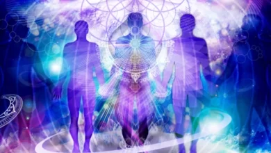 lei da unidade, desperte o genio dentro de voce