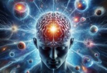 O Poder da Mente, Desvendando os Mistérios do Cérebro